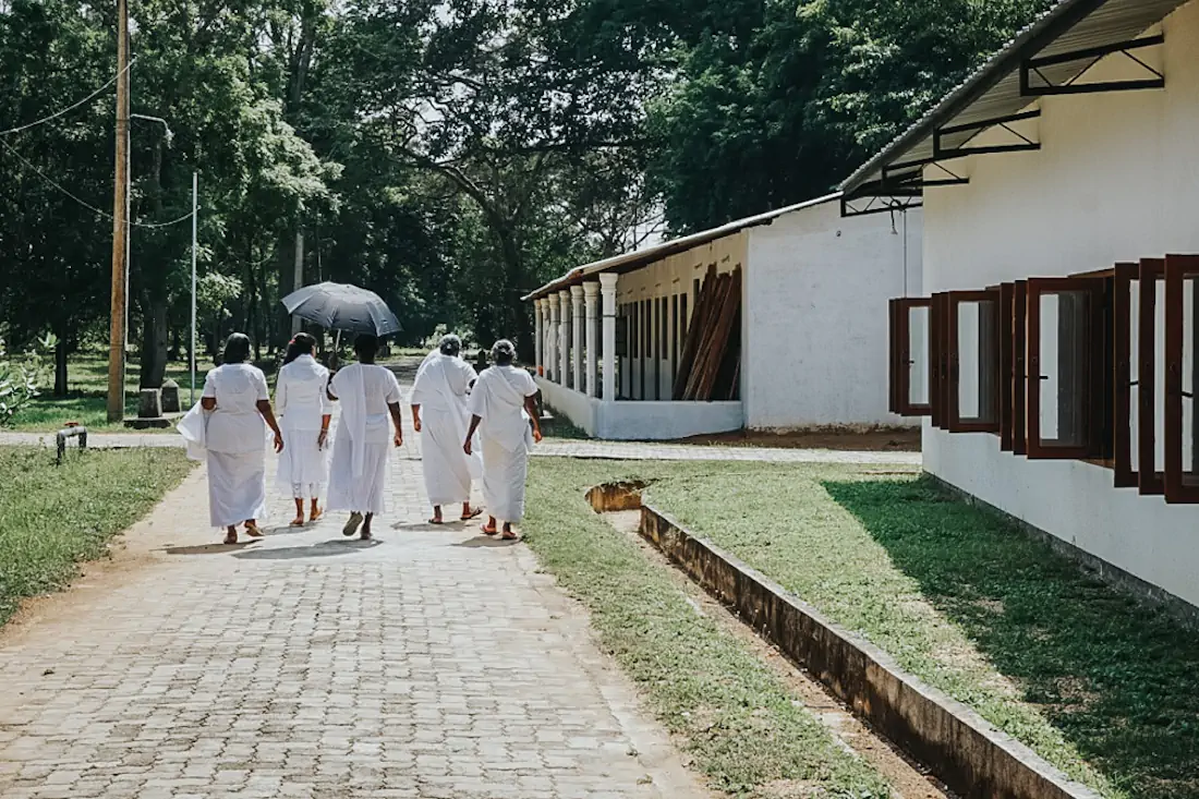 20170118 thumb dsc02161 1024 1 hannahsophia