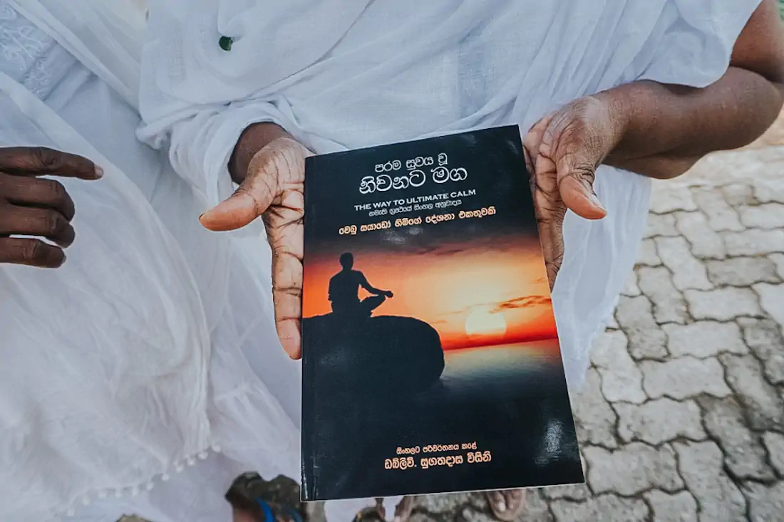 20170118 thumb dsc02203 1024 1 hannahsophia