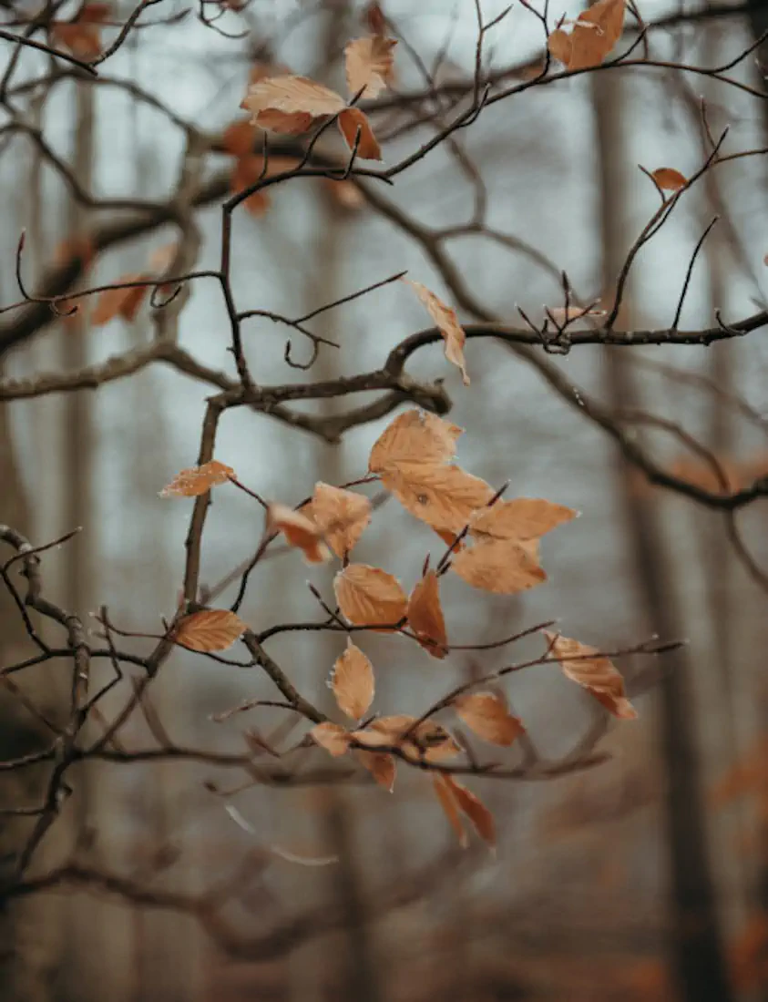 Dsc 8400 1 525x685 hannahsophia