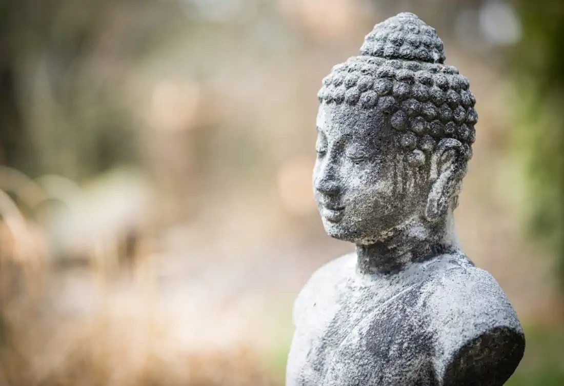 Sabine schulte 150784 unsplash 1000x685 hannahsophia