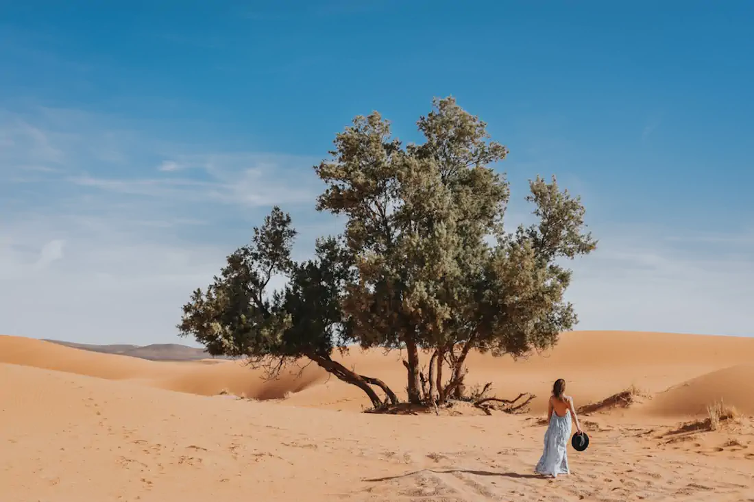 20170327 dsc 4015 hannahsophia