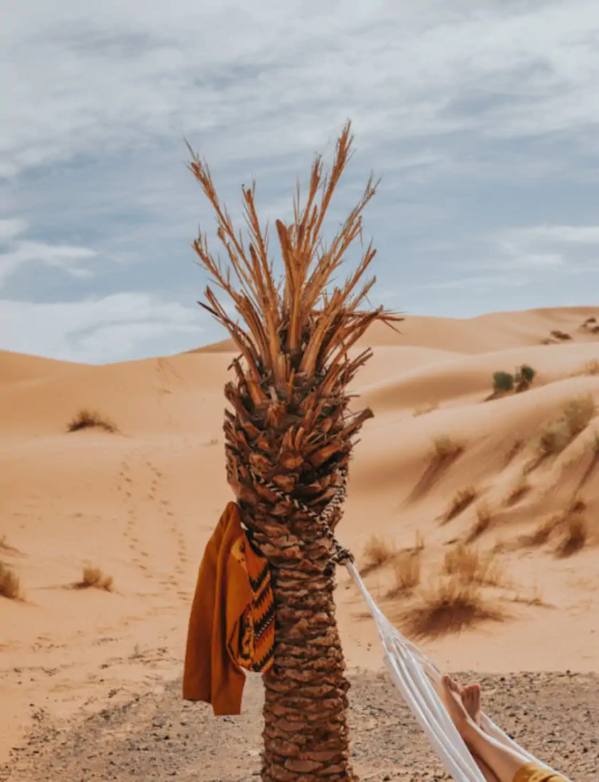 20170327 dsc 4077 525x685 hannahsophia