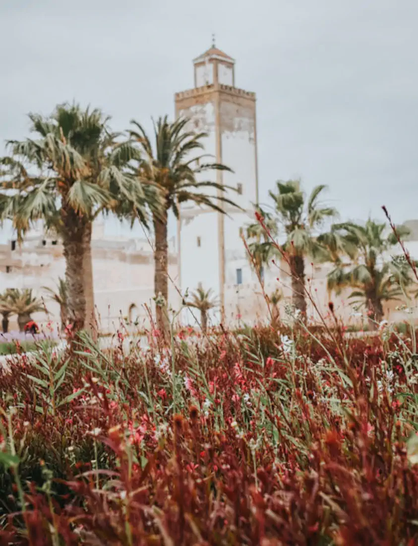 20170410 dsc 5375 525x685 hannahsophia