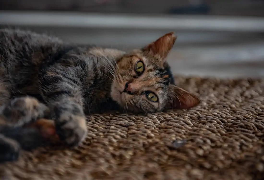 Dsc 3840 1000x685 hannahsophia