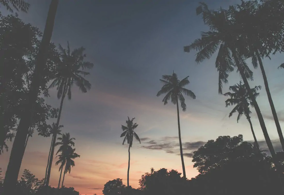 Dsc 3926 1000x685 hannahsophia