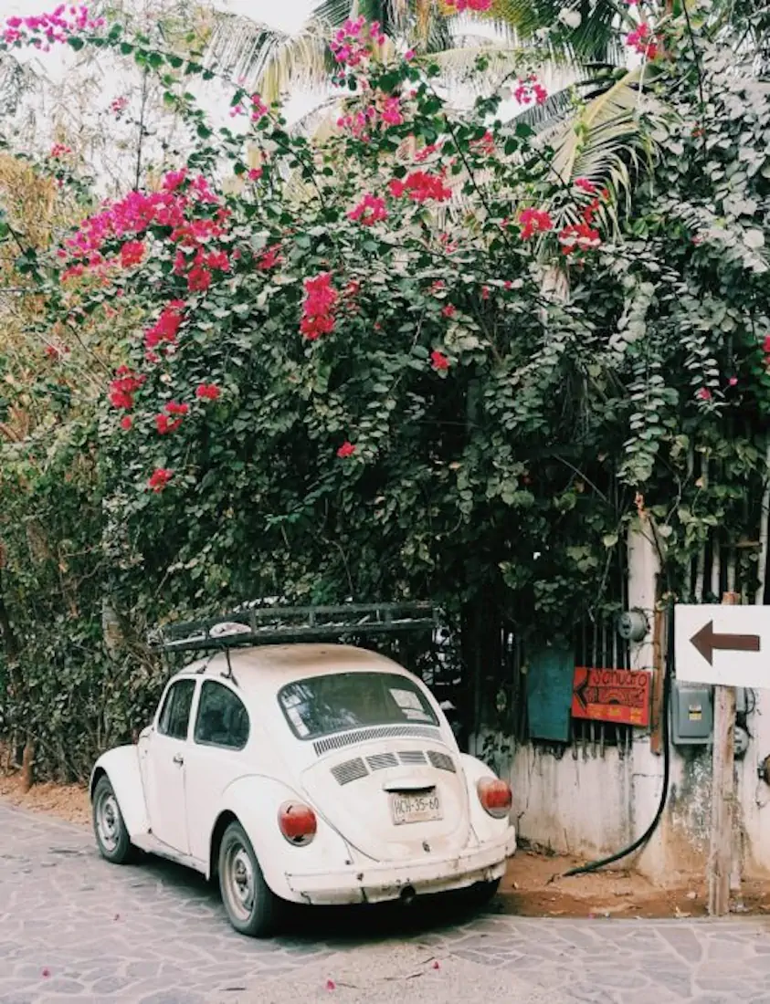 2018 04 19 07.05.55 2 1 525x685 hannahsophia