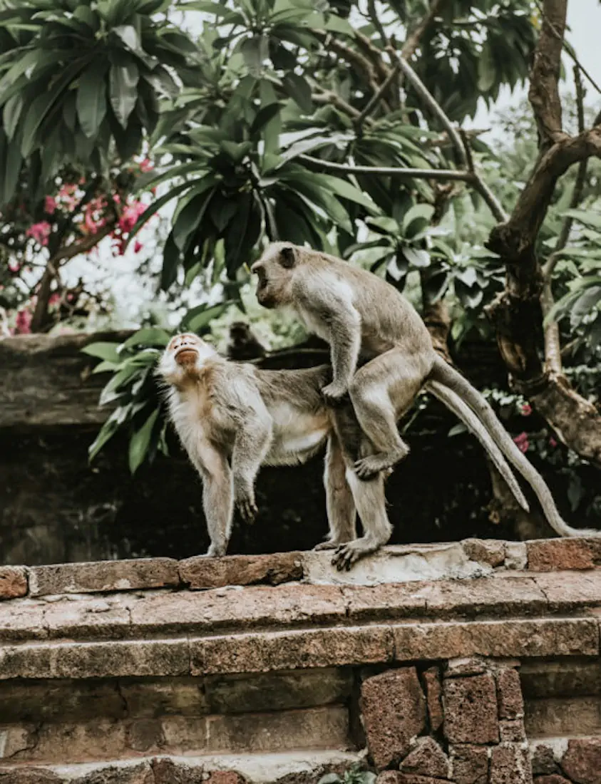 Dsc 1569 2 525x685 hannahsophia