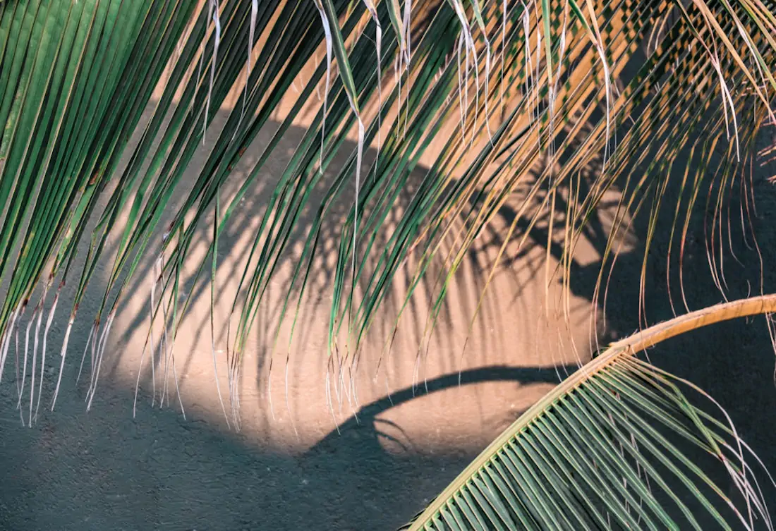 Img 2591 1000x685 hannahsophia