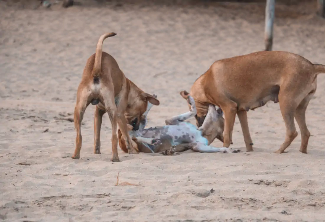 Img 2631 1000x685 hannahsophia
