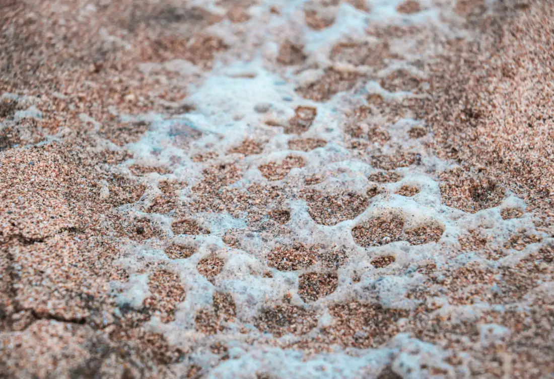 Img 2660 1000x685 hannahsophia