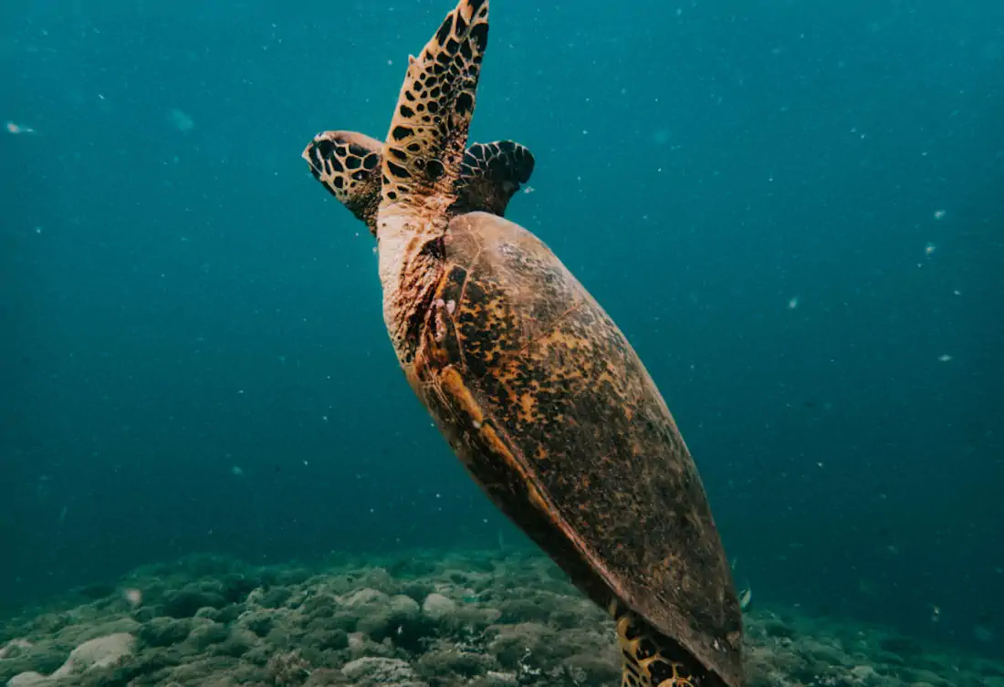 P3040021 1000x685 hannahsophia