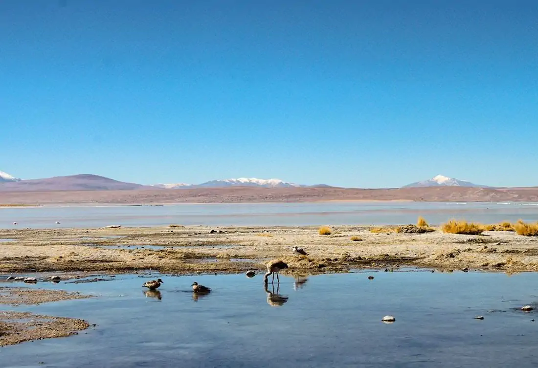 Termales2 1000x685 hannahsophia