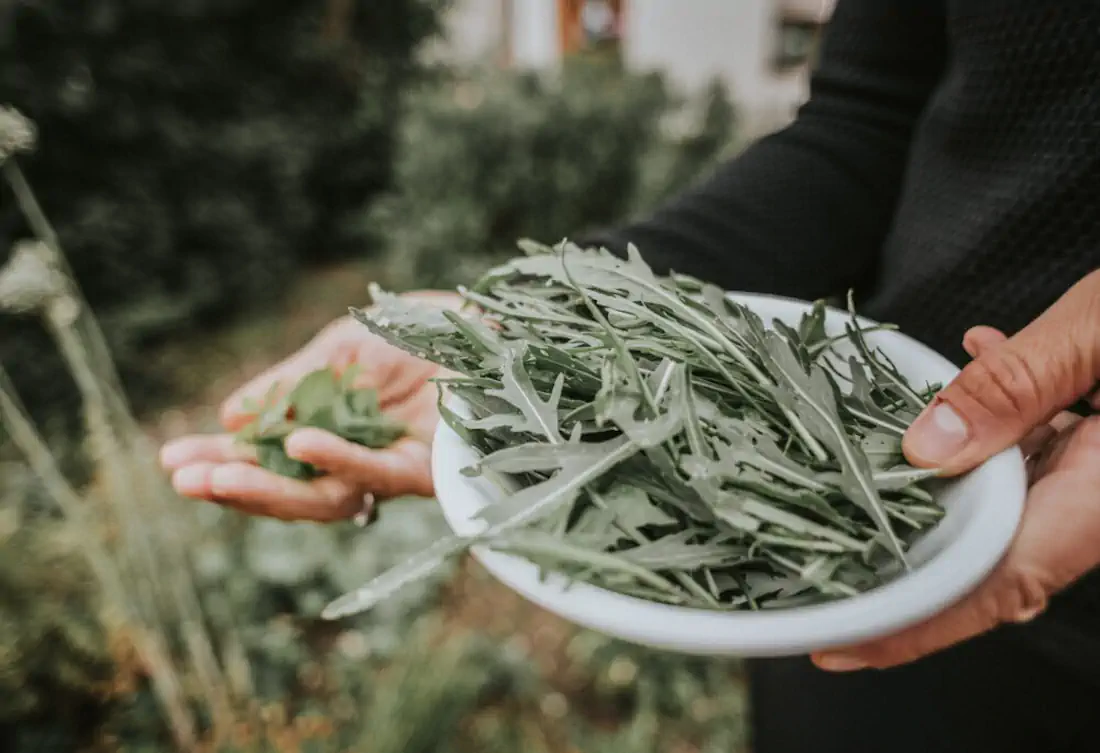 2020 hannahsophia 5964 1000x685