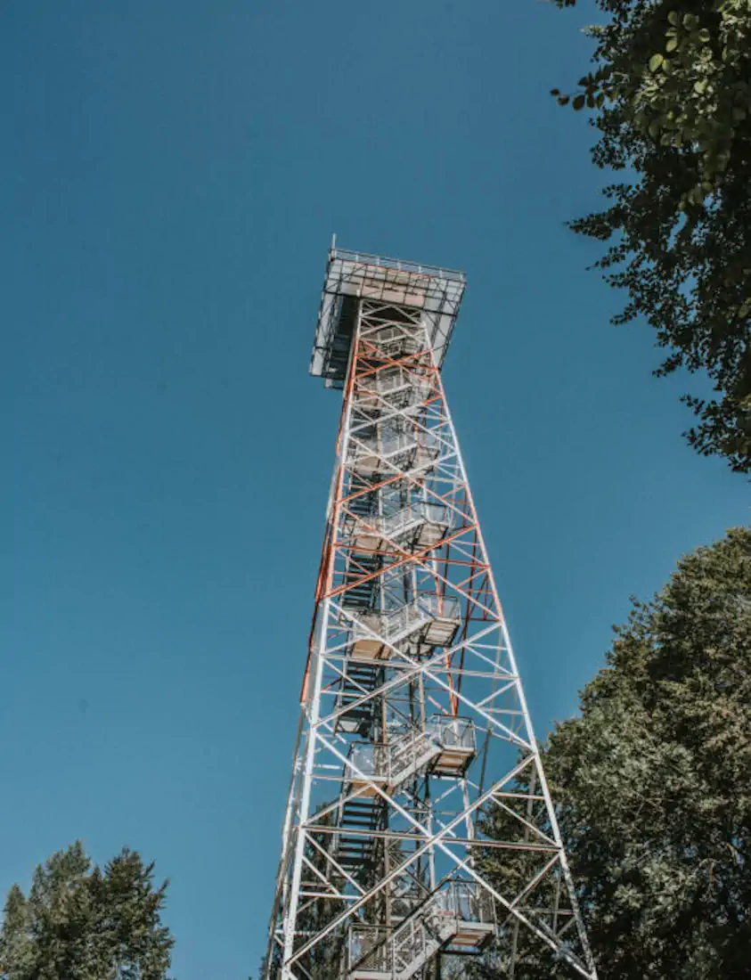 2020 hannahsophia 5998 525x685